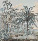 Blue Sulawesi landscape wallpaper