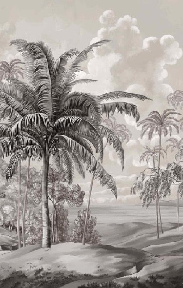 Black and white Celebes landscape wallpaper