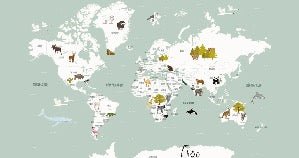 Children's French world map wallpaper green