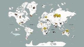 Children's French world map wallpaper grey