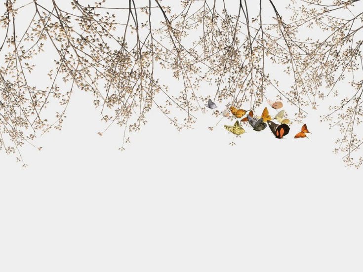Branch & butterfly living room wallpaper