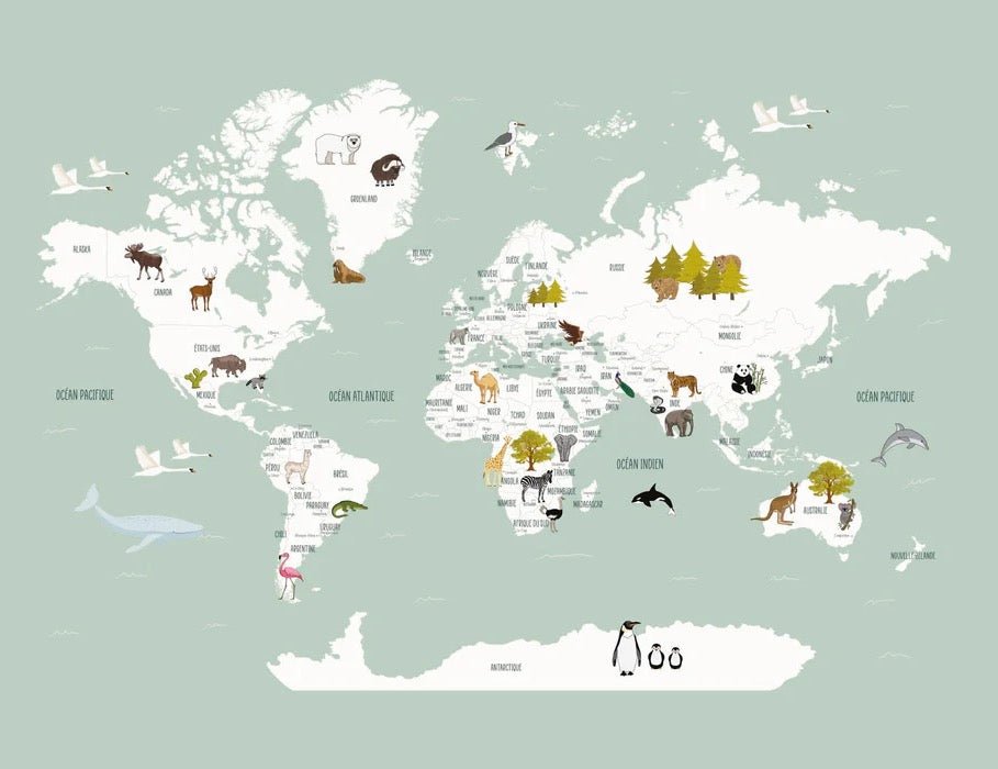 Children's French world map wallpaper green
