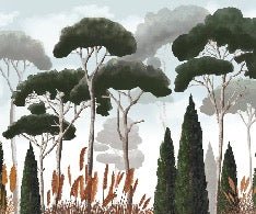 Custom wallpaper cypress pine and pampas grass