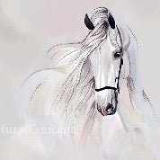 Children's bedroom wallpaper white stallion