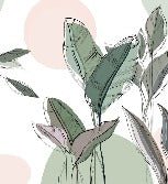 Panoramic green plant wallpaper