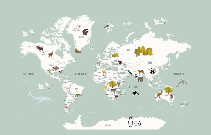 Children's French world map wallpaper green