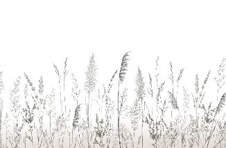 Poetic pampas wallpaper