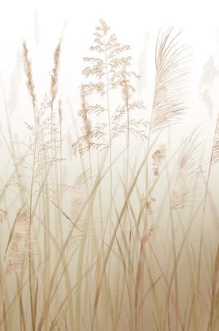 Wheat field flower wallpaper