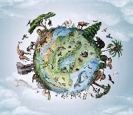 Children's animal planet wallpaper