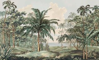 Sulawesi landscape wallpaper