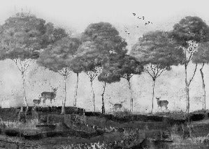 Panoramic wallpaper Mystic Pines & Deer