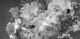 Black and white peony flower wallpaper