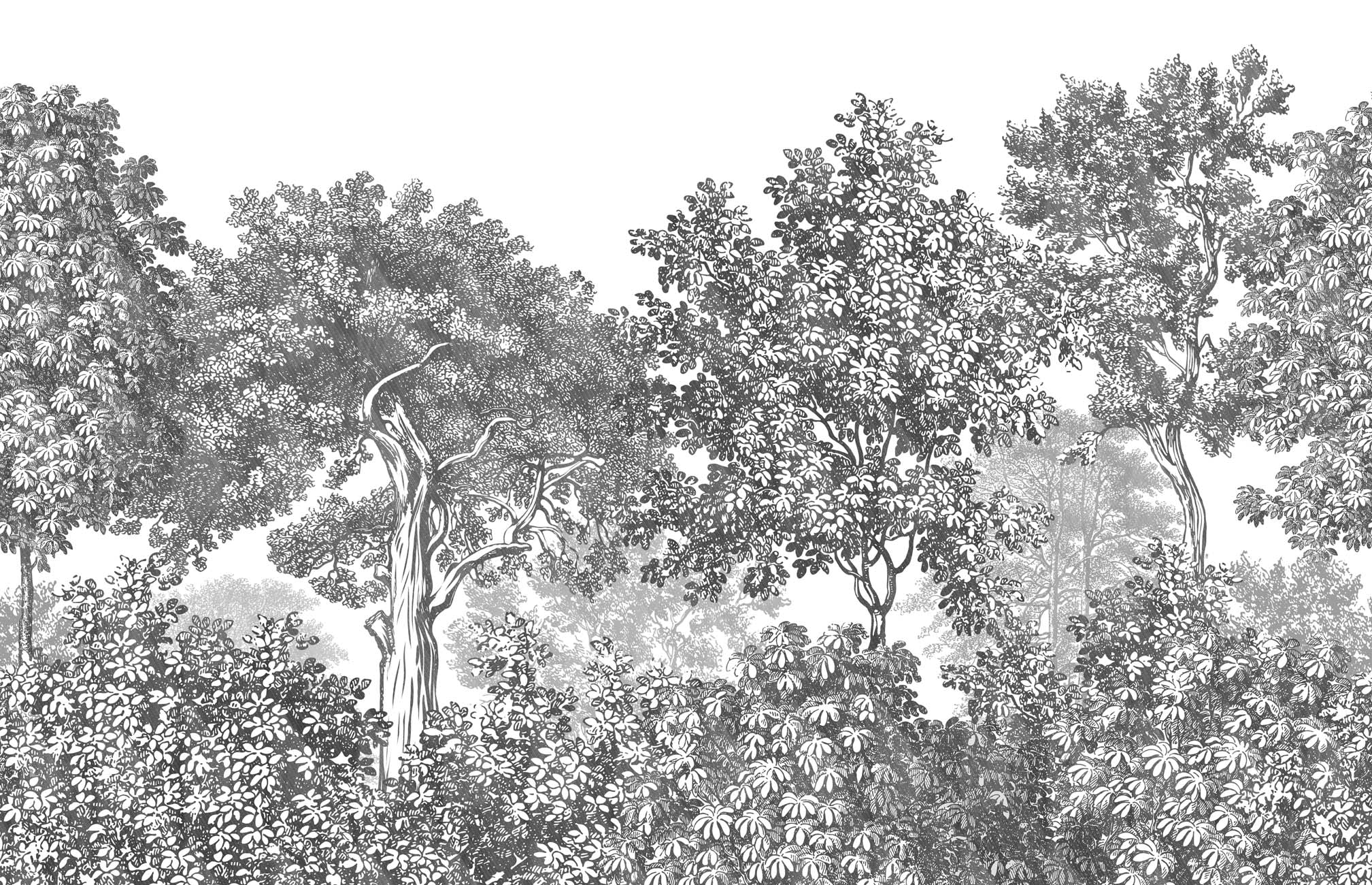 Papier peint paysage forêt gravure noir et blanc, XXL, tendance