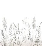 Poetic pampas wallpaper
