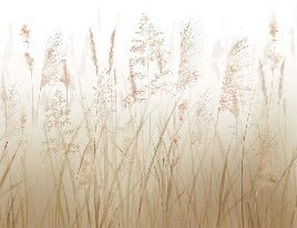 Wheat field flower wallpaper