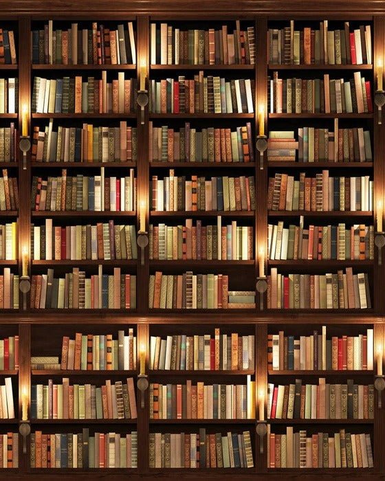Authentique Bibliothèque trompe l'oeil wallpaper