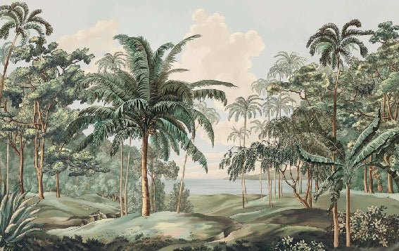 Sulawesi landscape wallpaper