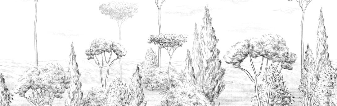 Panoramic antique forest wallpaper