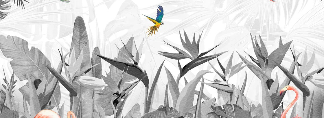 Black and white bird of paradise wallpaper