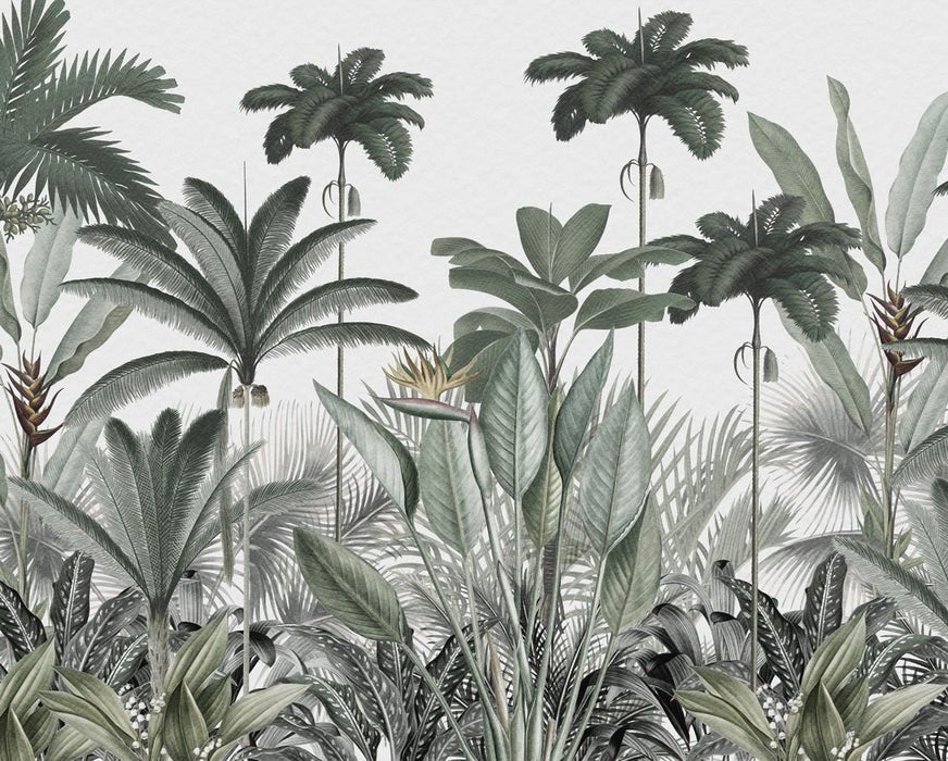 Panoramic jungle tree wallpaper