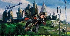Panoramic wallpaper Harry Potter quidditch match painting