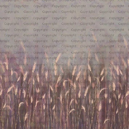 Wild grass panoramic pink wallpaper