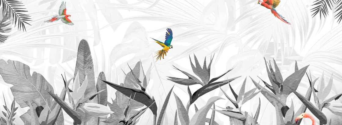 Black and white bird of paradise wallpaper