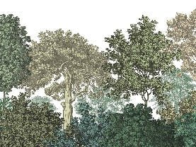 Landscape wallpaper forest engraving