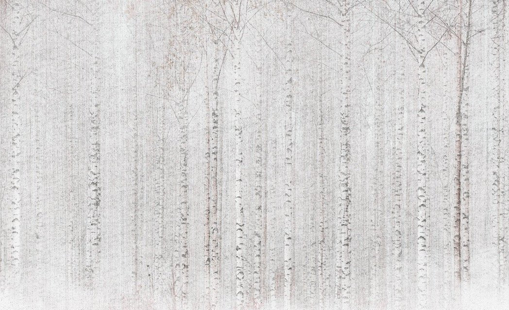 Enveloping birch forest wallpaper