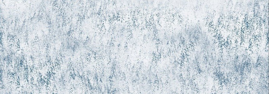 Alpine design misty forest wallpaper