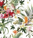 Tropical wallpaper & Colorful flowers