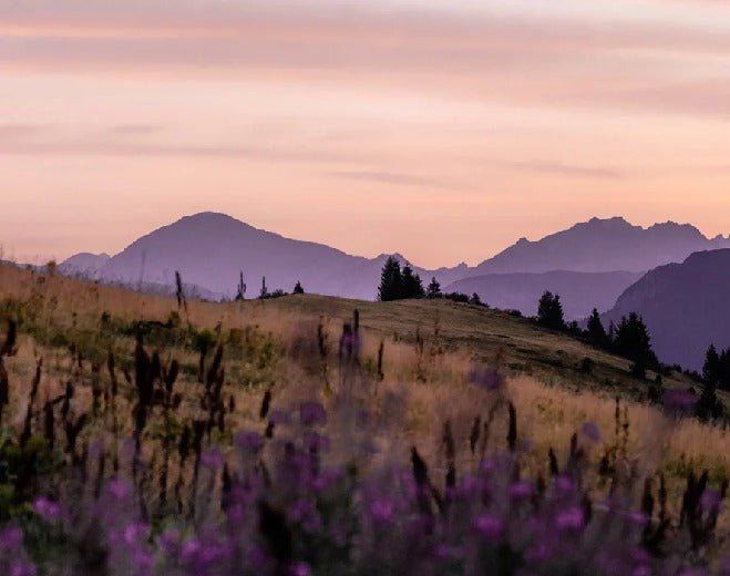 Wallpaper restaurant massif du Giffre