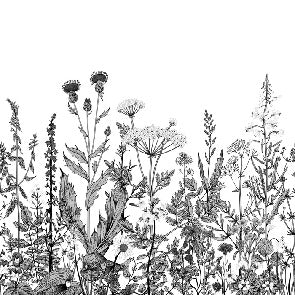 Black and white botanical folk wallpaper