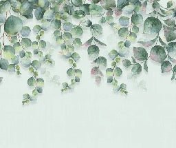 Eucalyptus plant wallpaper