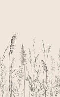 Wild meadow panoramic wallpaper