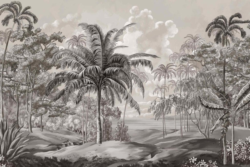 Black and white Sulawesi landscape wallpaper