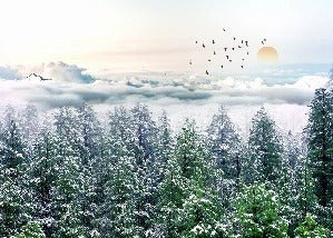 Panoramic non-woven wallpaper fir forest snow