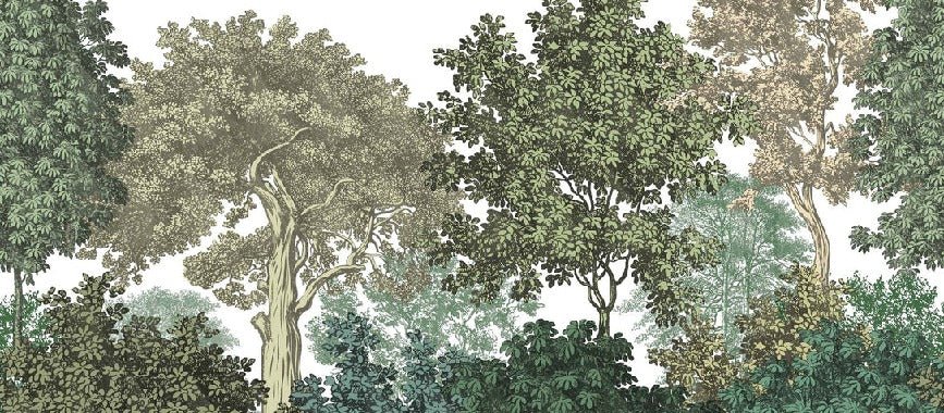 Wallpaper restaurant landscape forest engraving