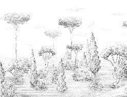 Panoramic antique forest wallpaper