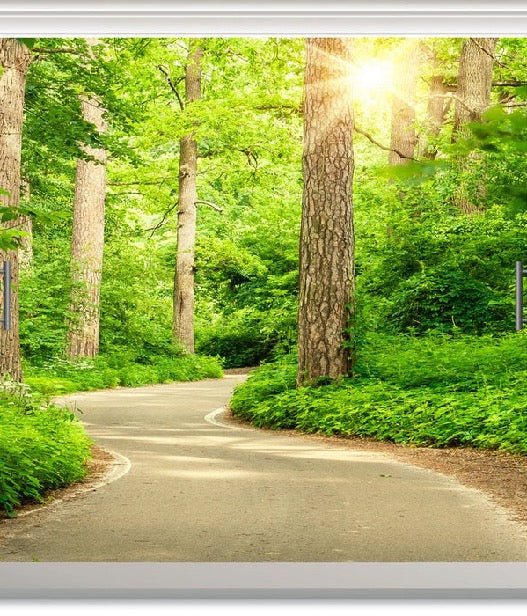 Papier peint salle de bain trompe l’œil balade en forêt, XXL, tendance