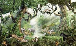 Secret Jungle Children's Wallpaper