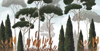 Custom wallpaper cypress pine and pampas grass