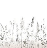 Poetic pampa wallpaper