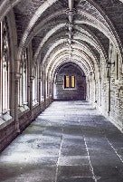 Trompe l'oeil wallpaper Parisian cathedral alcove