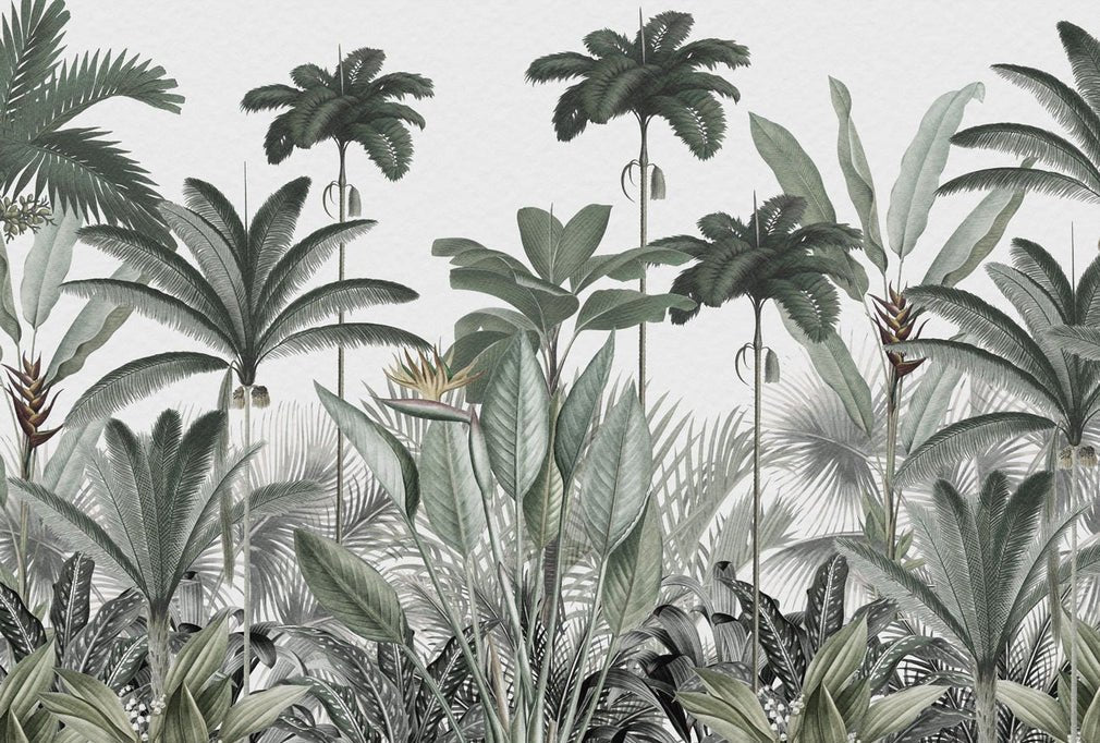 Panoramic jungle tree wallpaper