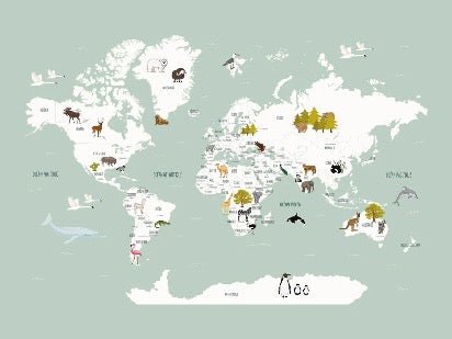 Children's French world map wallpaper green