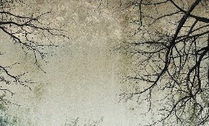 Enchanted Forest wallpaper