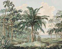 Sulawesi landscape wallpaper