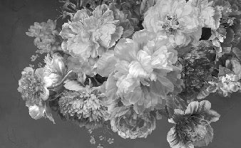 Black and white peony flower wallpaper