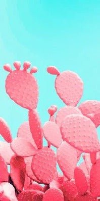 Pop cactus wallpaper